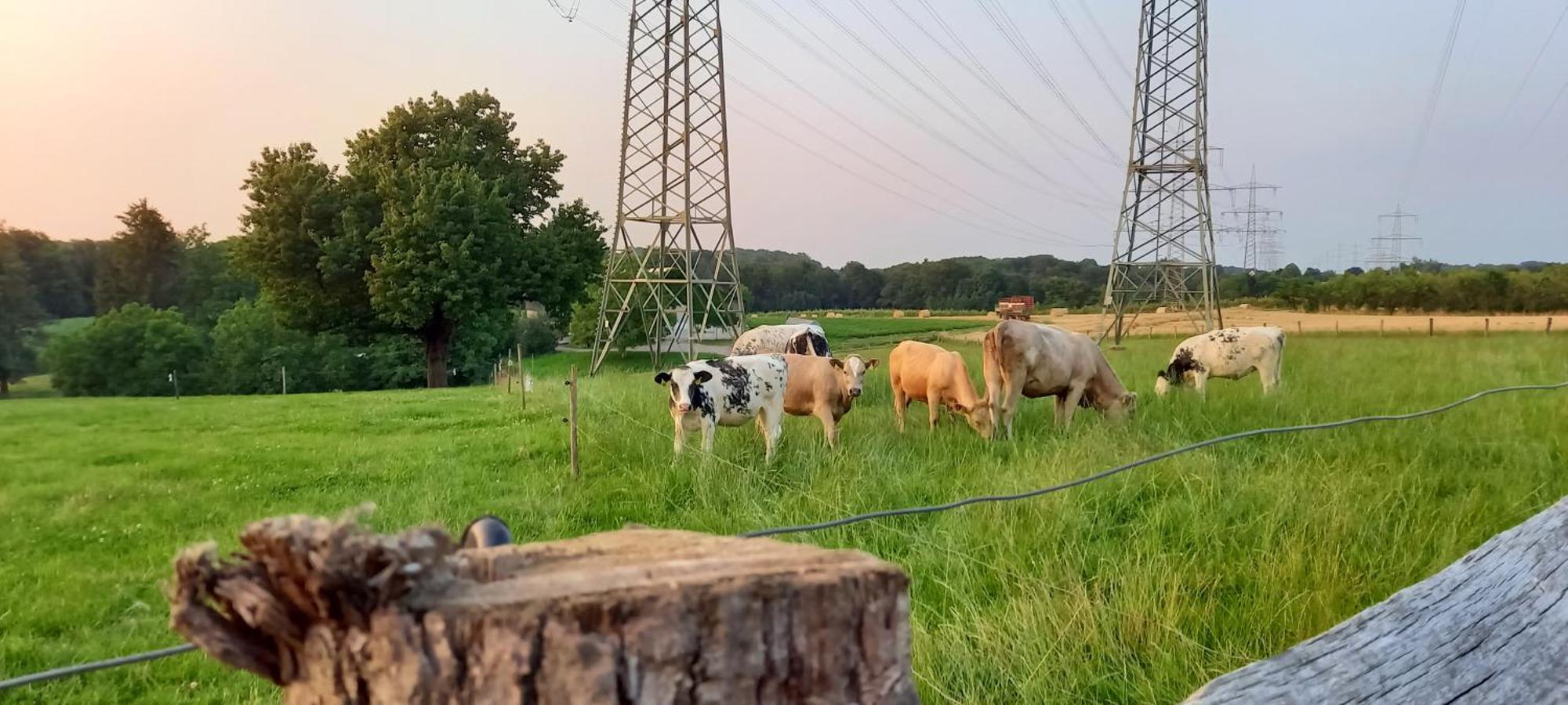 Bauernhof Sesterhenn Leichlingen Bagian luar foto