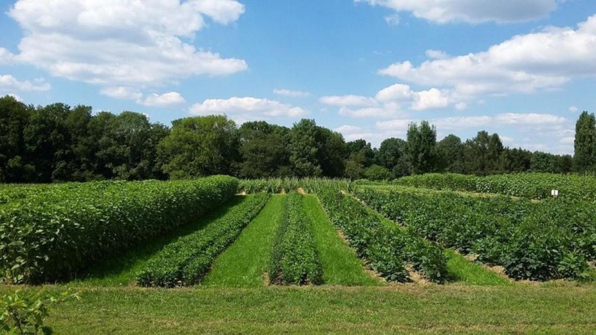 Bauernhof Sesterhenn Leichlingen Bagian luar foto