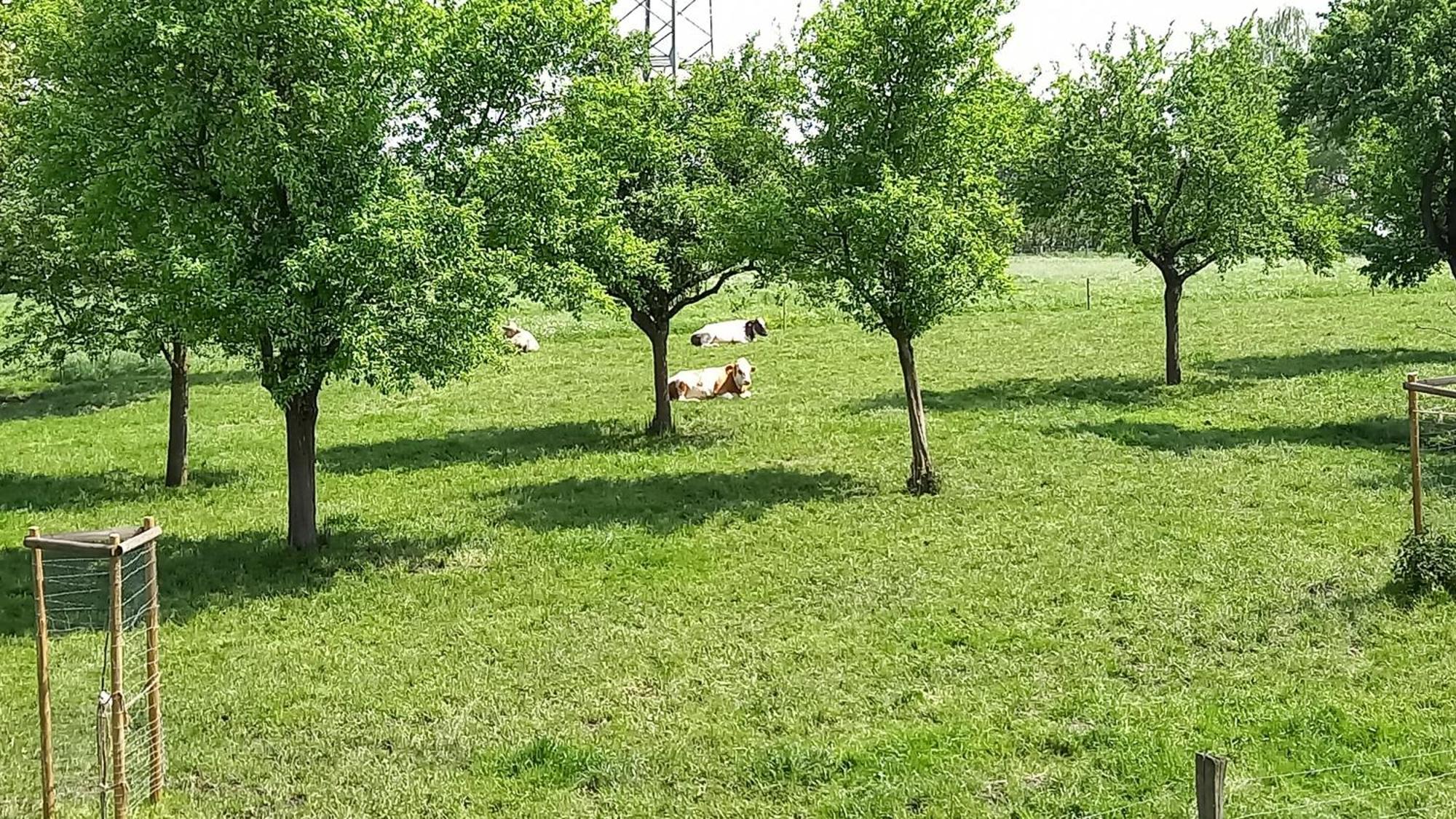 Bauernhof Sesterhenn Leichlingen Bagian luar foto