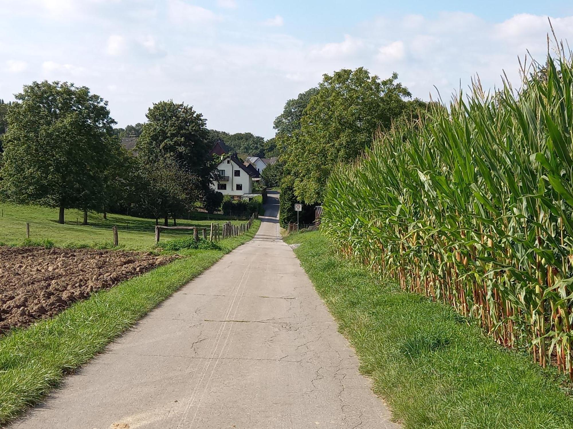 Bauernhof Sesterhenn Leichlingen Bagian luar foto